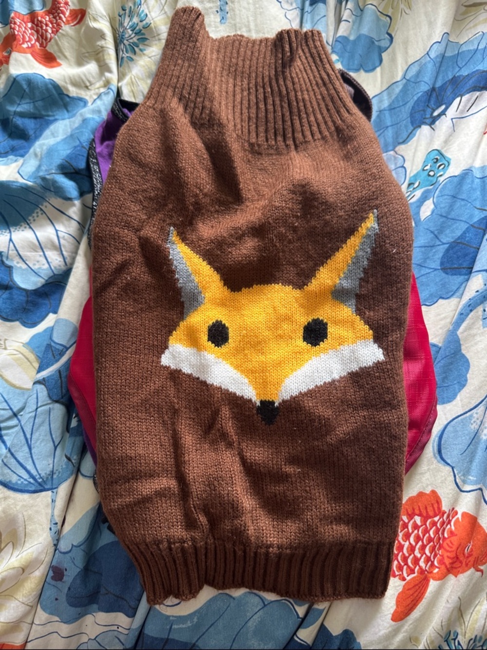 11 pieces of dog clothes - Picture 4 of 12